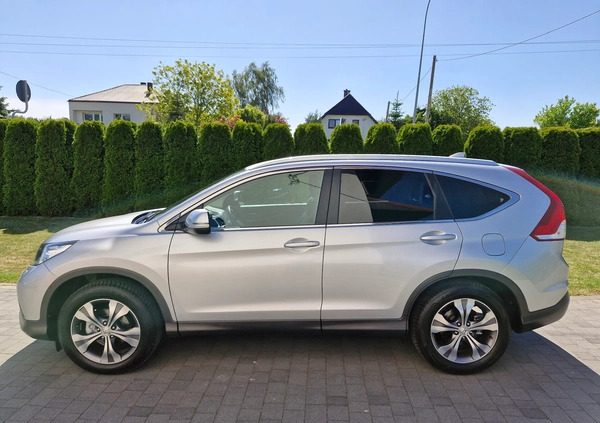 Honda CR-V cena 74900 przebieg: 71000, rok produkcji 2014 z Sulęcin małe 277